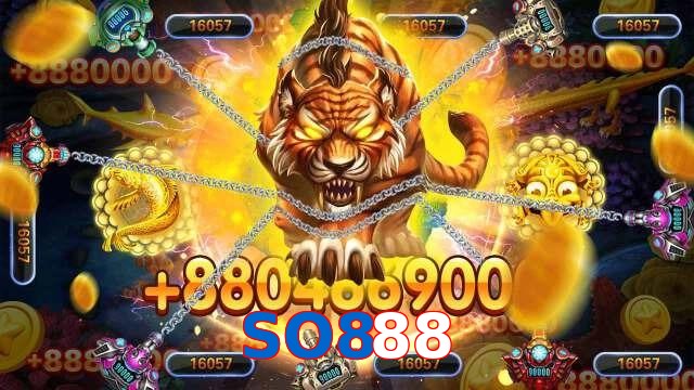 SO888